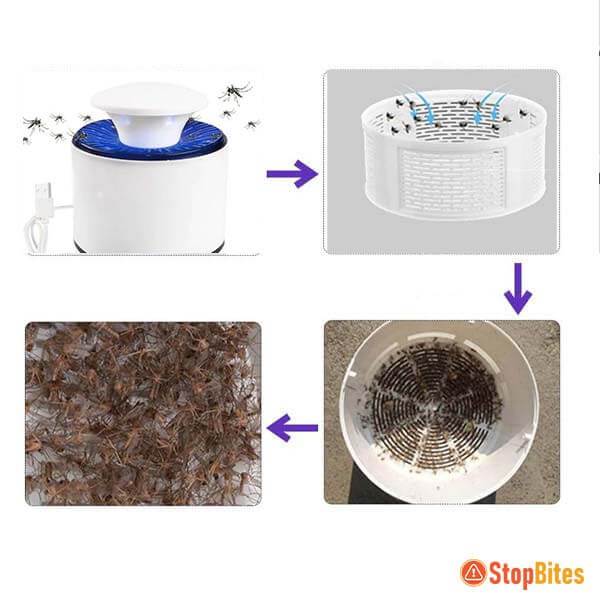 StopBites